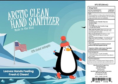 Arctic Clean Hand Sanitizer (Artic Clean Hand Sani 62 08oz)